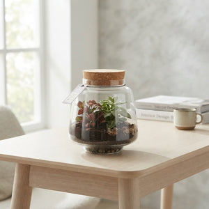 Mercurius Small Glass Terrarium Arrangement – 12cm