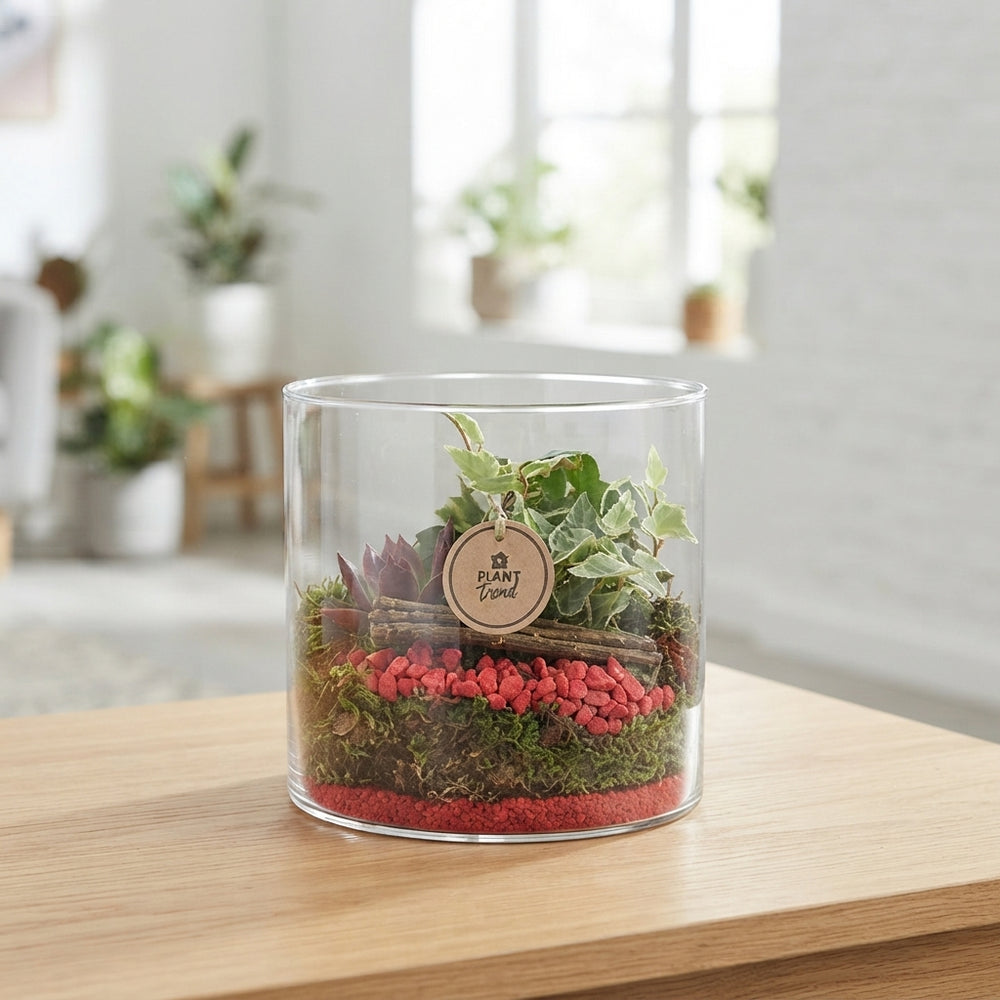 Red Cylindrical Plant Arrangement – 20cm Glass Pot
