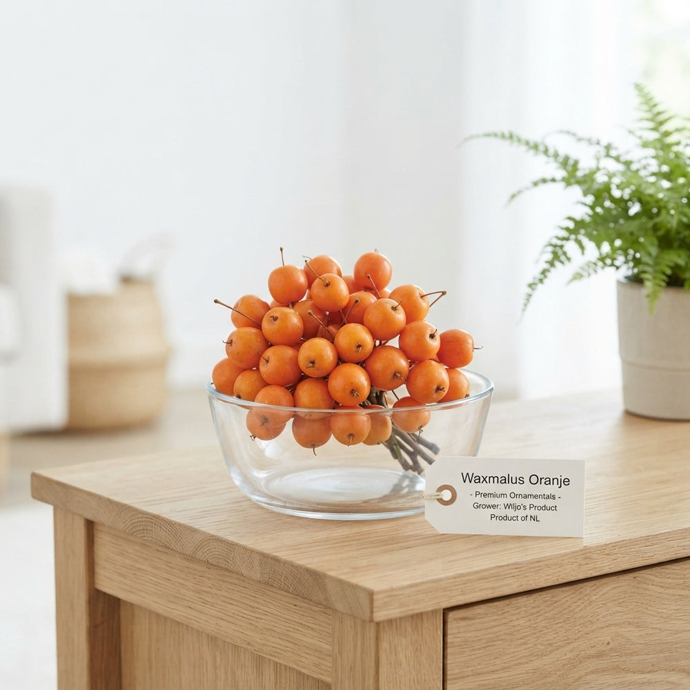 Orange Wax Apple Branches – Decorative Stems