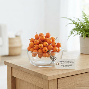 Orange Wax Apple Branches – Decorative Stems