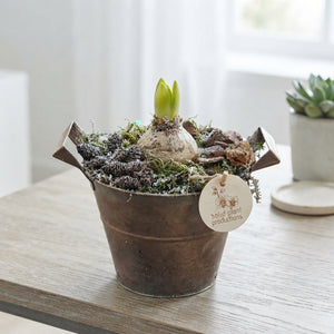 Hyacinth Arrangement in Antique Zinc Pot – 16cm
