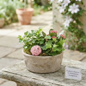 Outdoor Plant Arrangement in Cement Bowl – 23cm