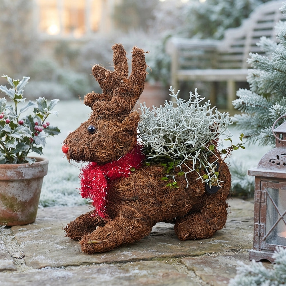 Winter Outdoor Reindeer Arrangement – 34cm Wicker Pot