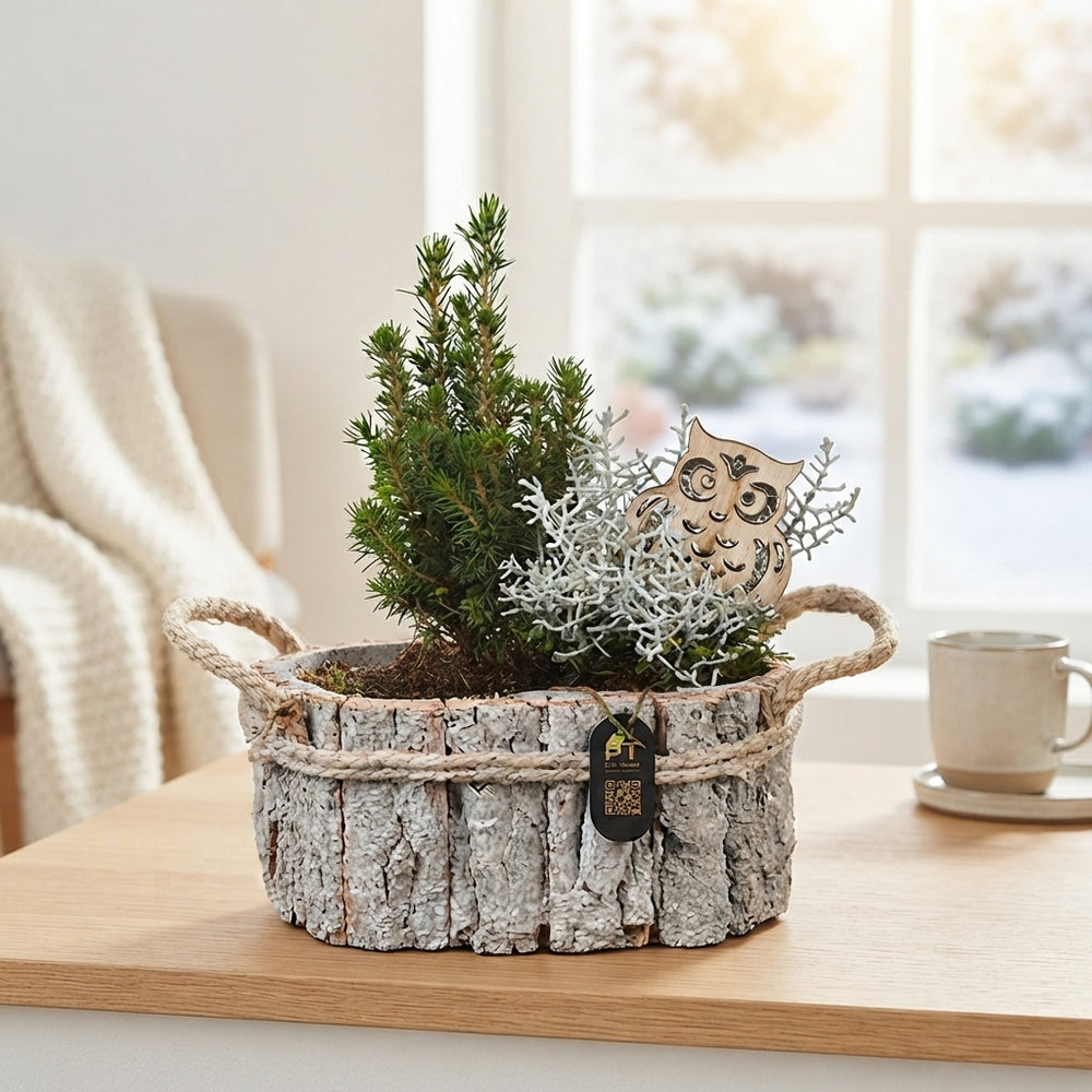 Winter Outdoor Arrangement – 22cm Oval Wooden Pot