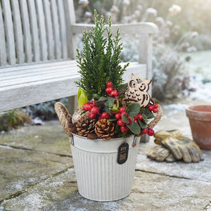 Winter Outdoor Arrangement in Ornamental Zinc Pot – 16cm