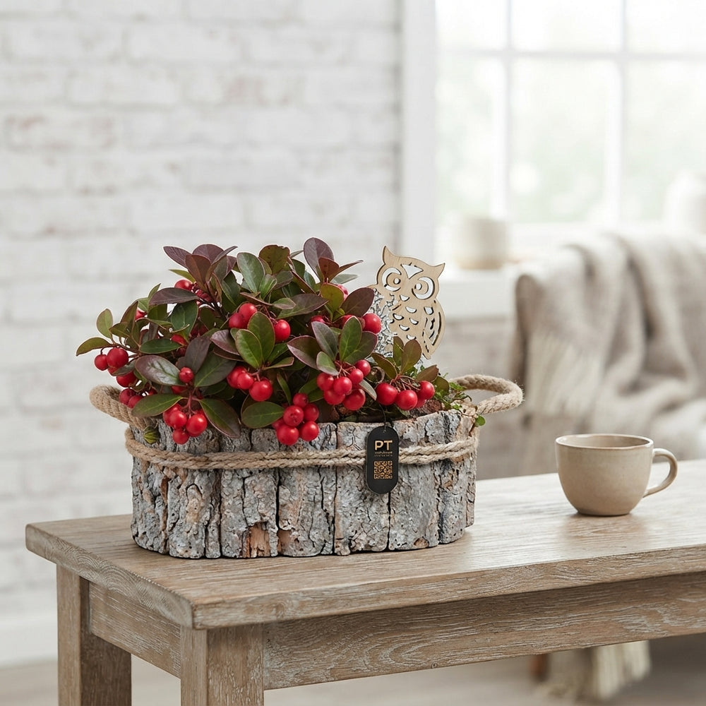 Winter Outdoor Wooden Plant Arrangement – 27cm