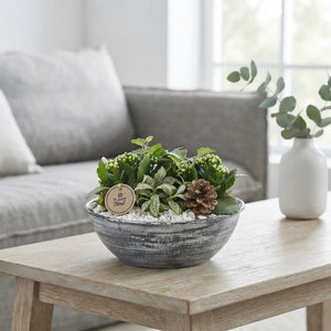 Red and White Indoor Plant Arrangement – 25cm Zinc Bowl