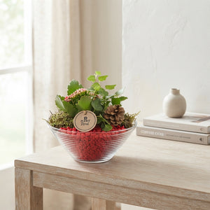 Red and White Ribbed Glass Plant Arrangement – 19cm