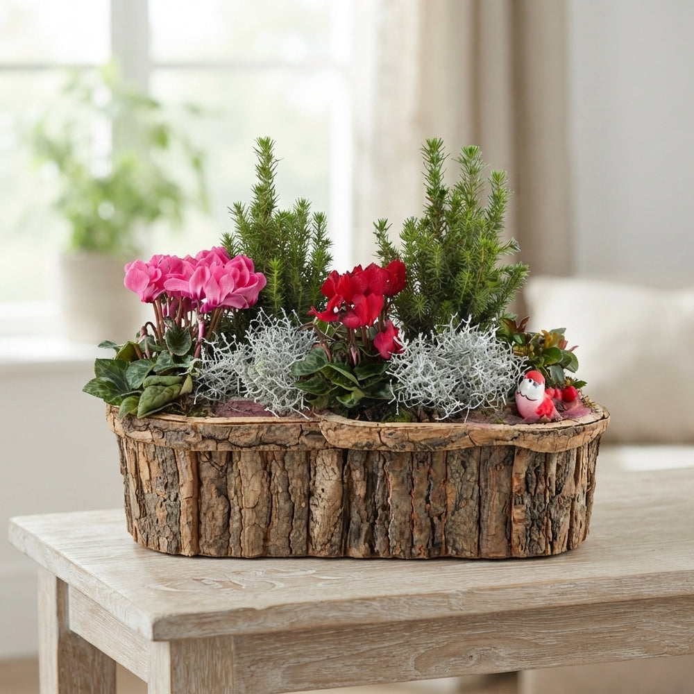 Mixed Colour Oval Wooden Bark Arrangement