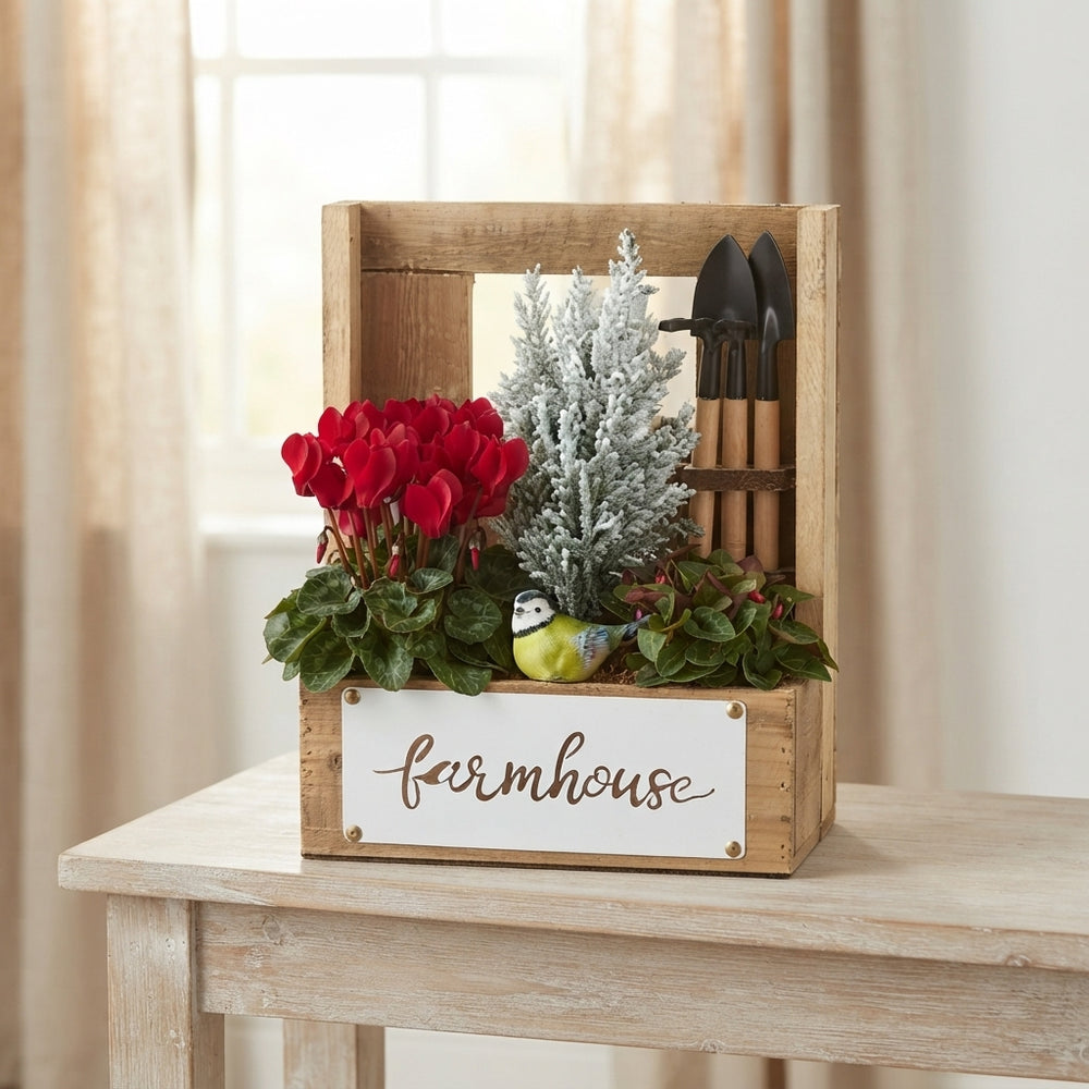 Mixed Colour Flower Arrangement – 4 Stems