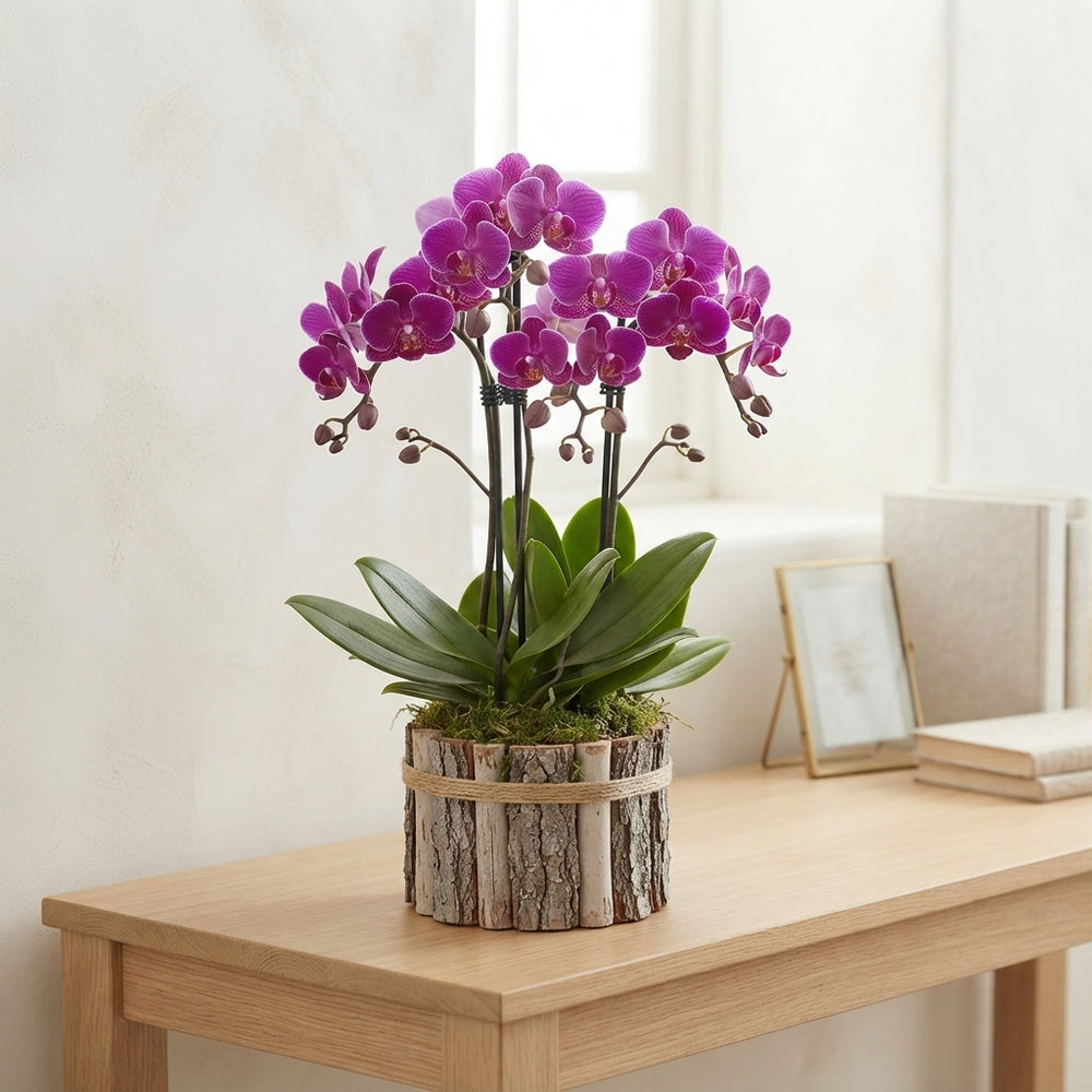 Mixed-Colour Beech Wood Round Arrangement
