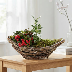 Mixed Colour Decorative Plant Arrangement
