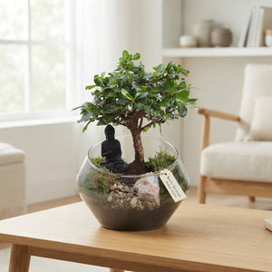 Indoor Bonsai in Glass Bowl – 20cm