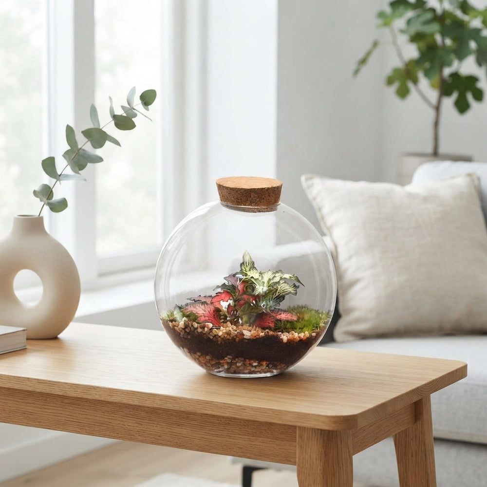 Juno Glass Terrarium Arrangement – 12.5cm