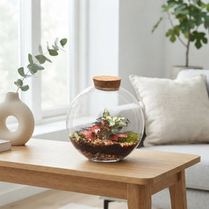 Juno Glass Terrarium Arrangement – 12.5cm