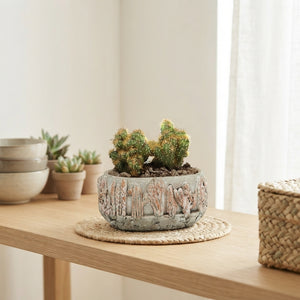 Mixed Cactus Collection in Ceramic Pot – 13cm