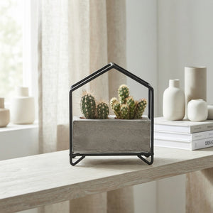 Mixed Cactus Collection in Metal Pot – 16cm
