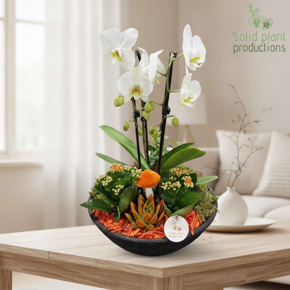 Autumn Orange Deluxe Arrangement – 32cm Terracotta Pot (Approx. 55cm)