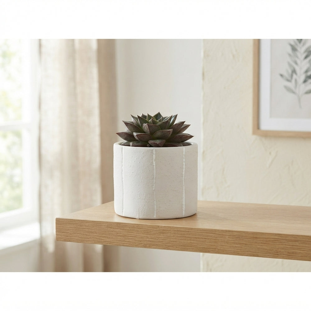 Mixed Succulent Arrangement – Tuvalu Ceramic Pot, 10cm