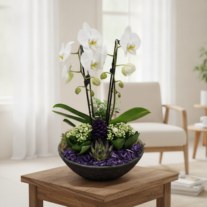 Purple Deluxe Autumn Arrangement – 32cm Terracotta Pot (Approx. 55cm)