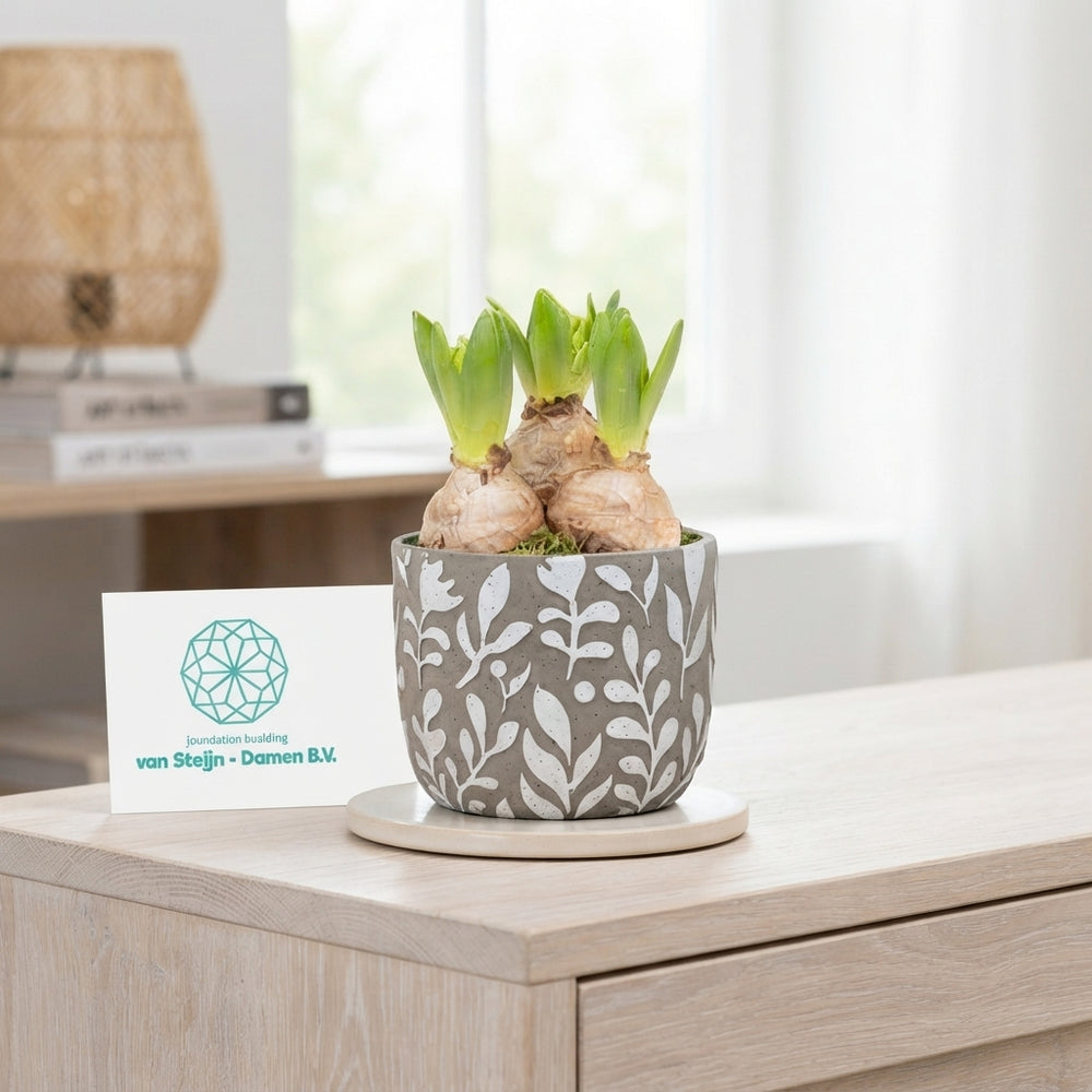 Bloom & Brush Plant Arrangement – 12cm Concrete Pot