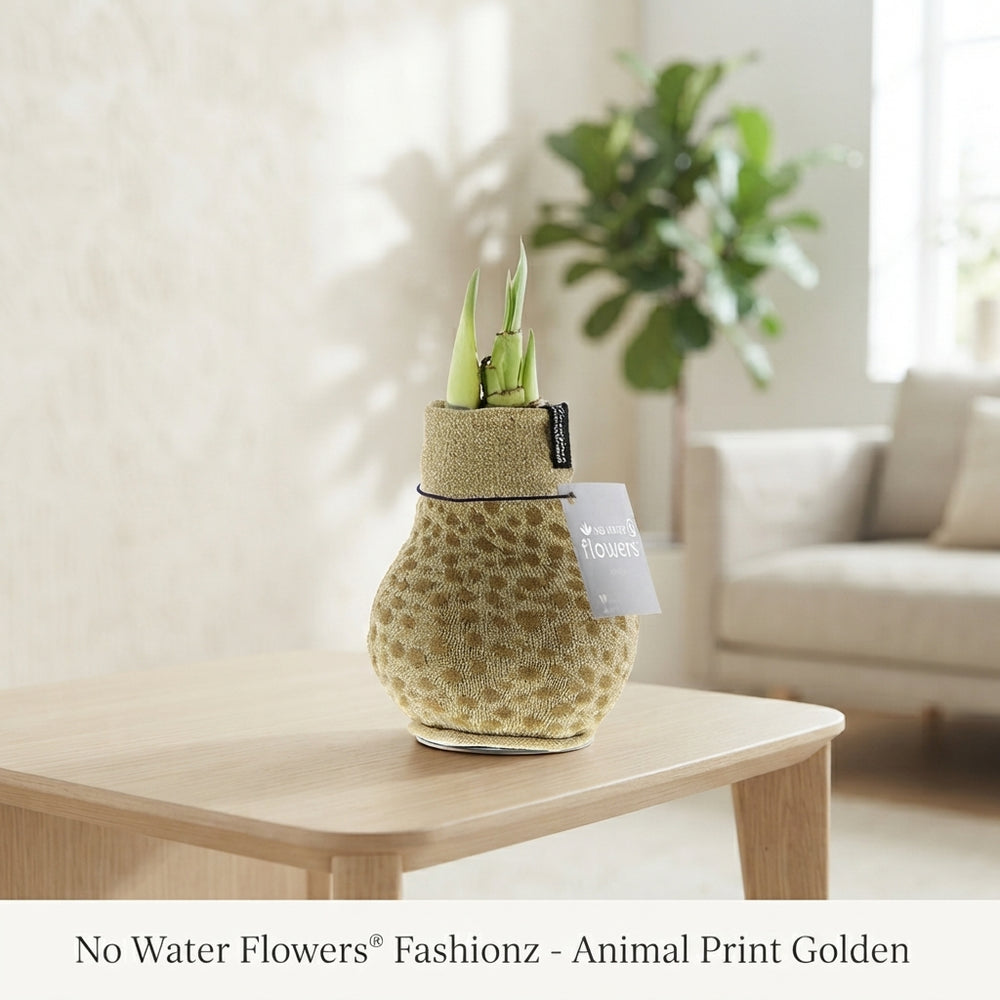 Animal Print Waxed Amaryllis (Hippeastrum)