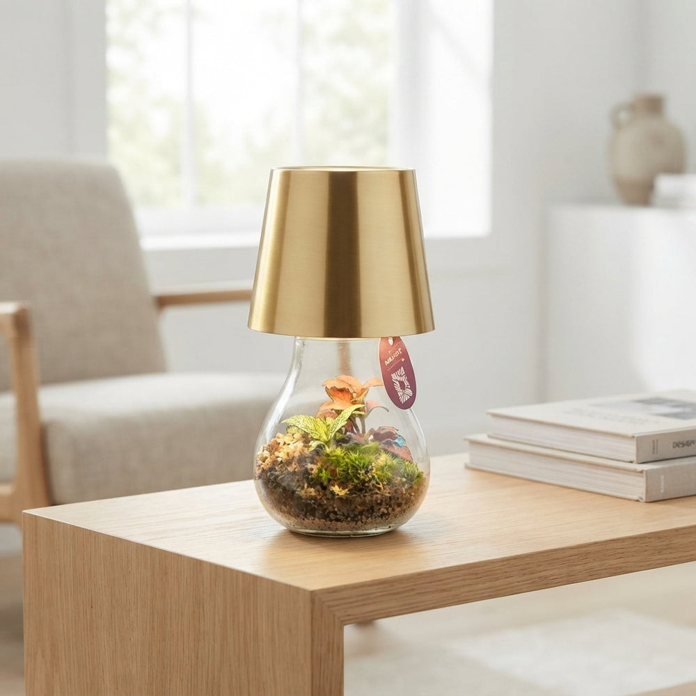 NovaLamp LED Terrarium Arrangement – 12cm Glass Pot
