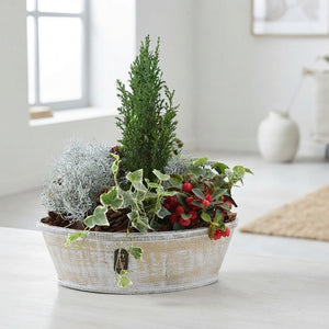 Decorative Plant Arrangement – 36cm Bamboo Pot