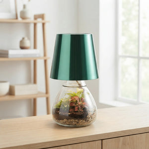 Nova Lamp Terrarium Arrangement – 11cm Pot