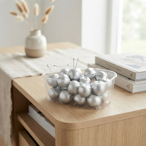 Silver Wax Apple Decorative Plant