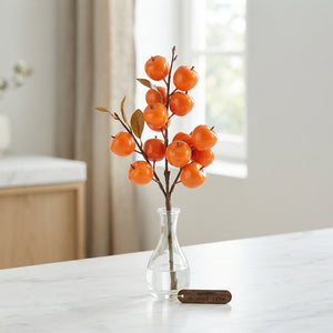 Orange Wax Apple Decorative Plant