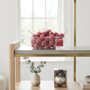 Red Wax Apple Decoration