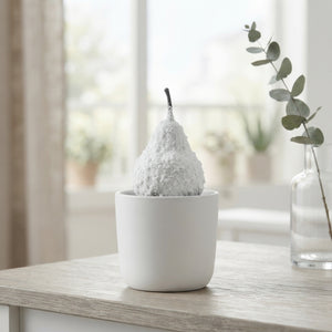 White Waxflower Snow White – Decorative Stems