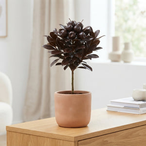 Chocolate Wax Apple Decorative Stems