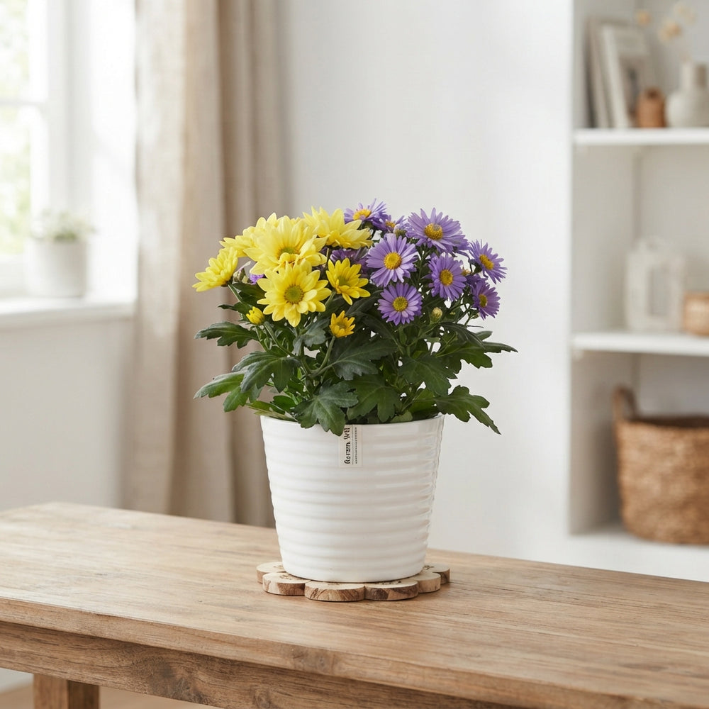 Mixed Colour Floral Arrangement