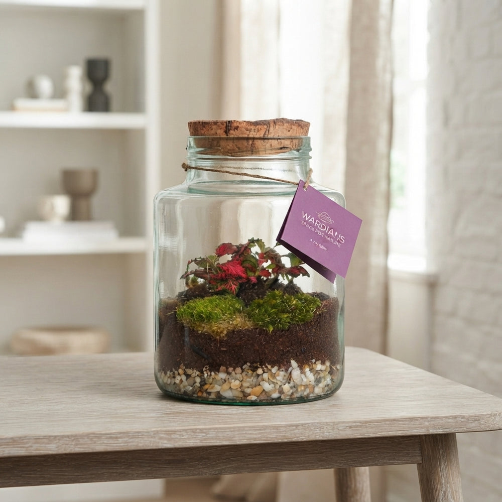 Neptunus Terrarium Arrangement – 16cm Glass Pot