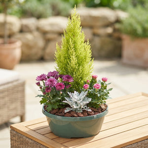 Outdoor Plant Arrangement – Classic 30cm Pot