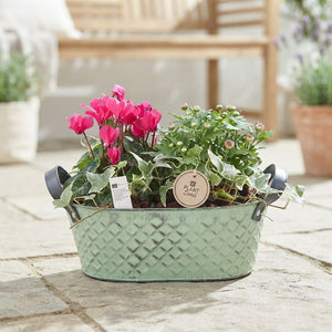 Outdoor Plant Arrangement in Round Wicker Basket – 28cm
