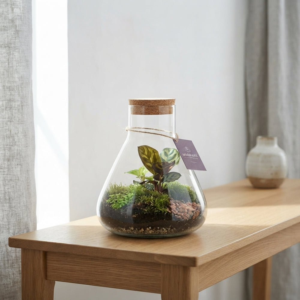 Medium Erlenmeyer Glass Terrarium Arrangement – 24cm