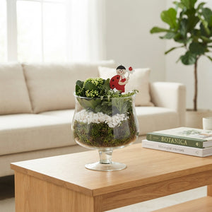 Elise Glass Plant Arrangement on Stand – 18cm
