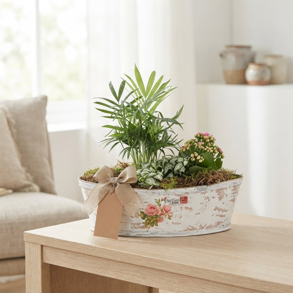 Mixed Rose Arrangement in Wooden Pot – 45cm