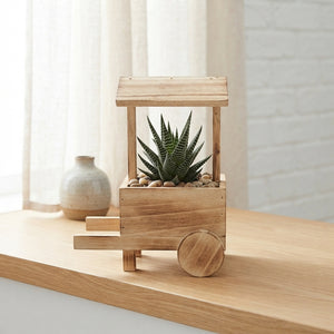 Mixed Arrangement in Wooden Cart – 15cm Pot