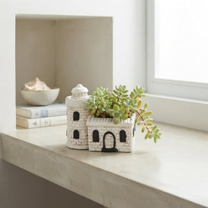 Mini Mixed Plant Arrangement – 14cm Ceramic Pot