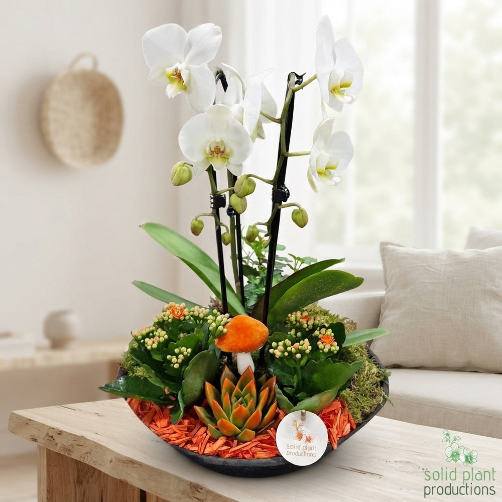 Orange Autumn Plant Arrangement – 32cm Terracotta Pot