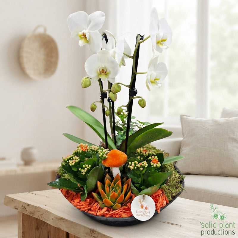 Orange Autumn Plant Arrangement – 32cm Terracotta Pot