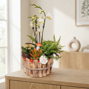 Large Autumn Orange Plant Arrangement – 23cm Wooden Pot