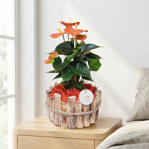 Large Autumn Orange Arrangement – 23cm Wooden Pot
