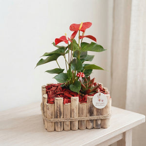 Large Autumn Red Arrangement – 30cm Square Wooden Pot