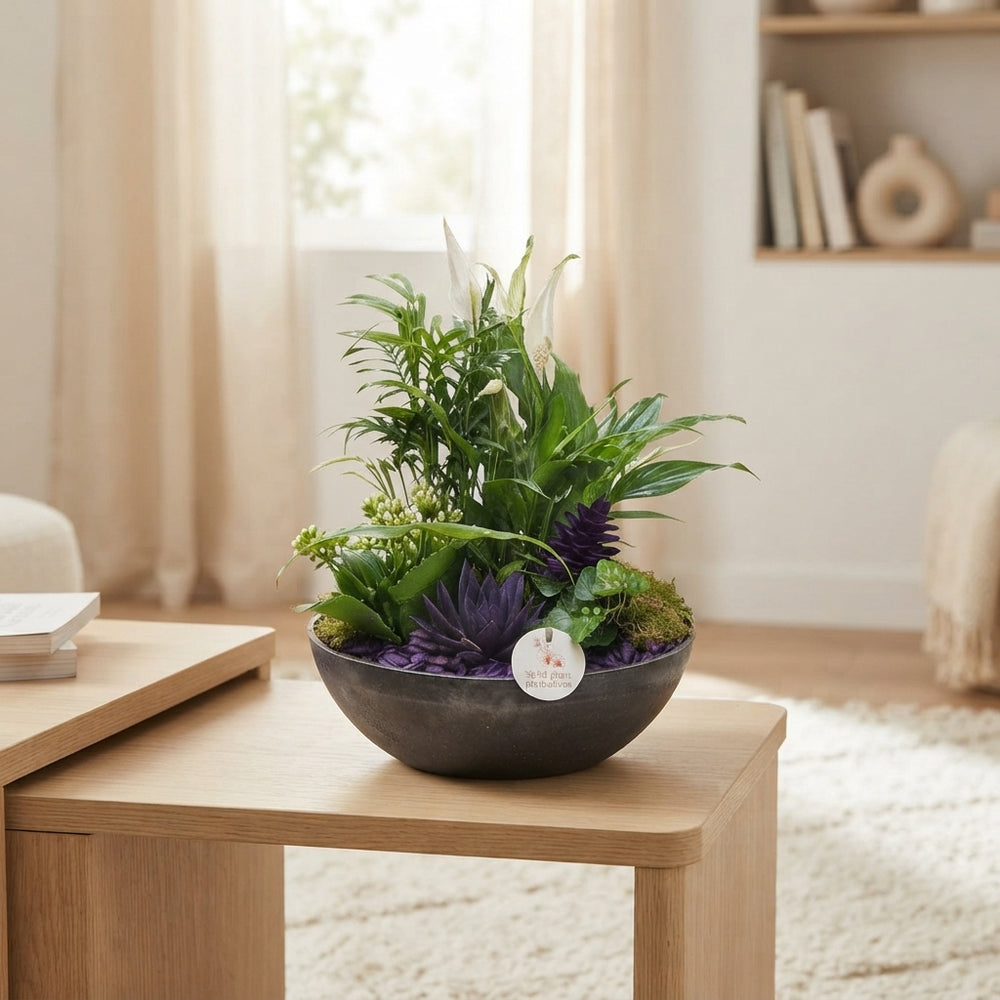 Autumn Mix Plant Arrangement – 30cm Decorative Pot