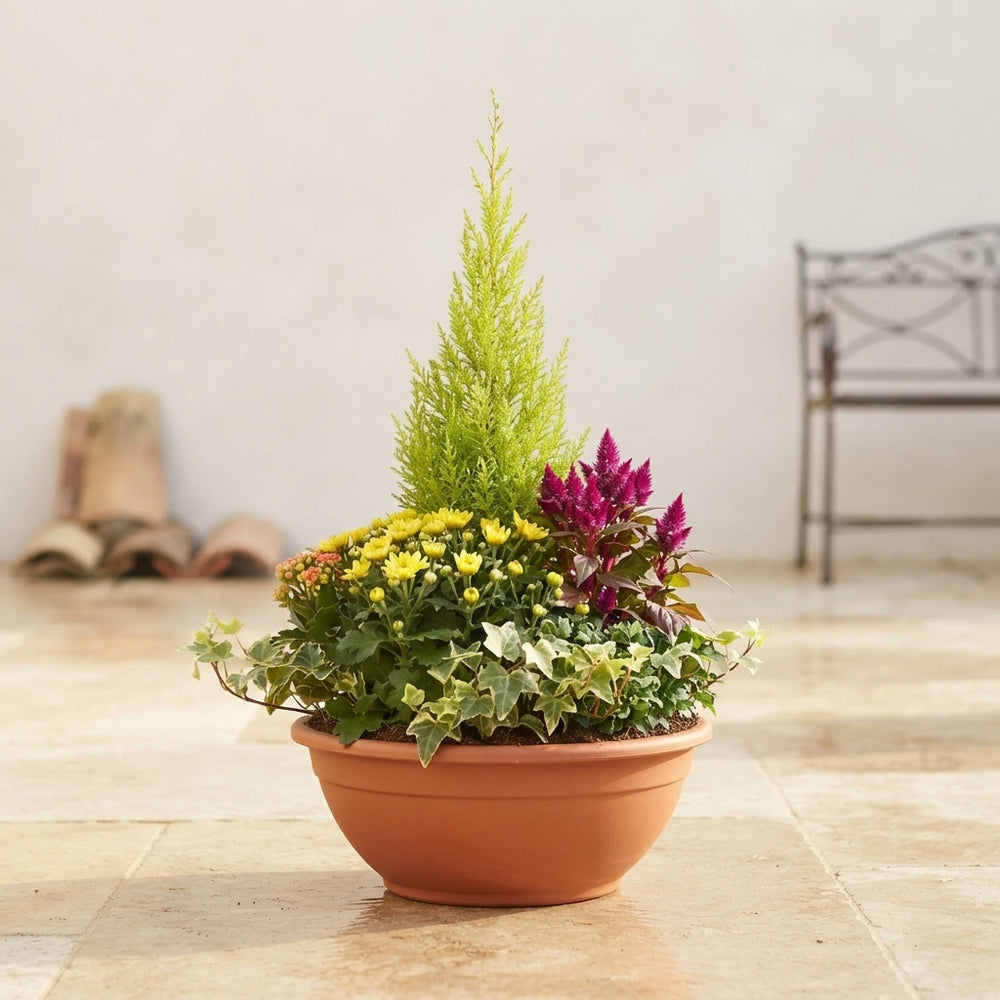 Large Indoor Plant Arrangement – 33cm Ornamental Pot